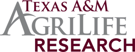 texas partner